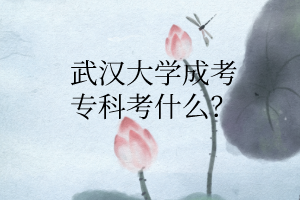 华中师范大学成考专科考什么？