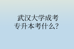 华中师范大学成考专升本考什么？