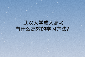 华中师范大学成人高考有什么高效的学习方法？