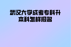 华中师范大学成考专科升本科怎样报名